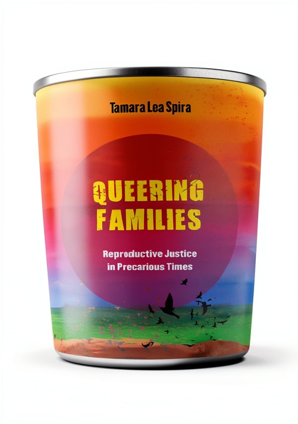 Domestic Relations Family Law eBook UC Press-0
